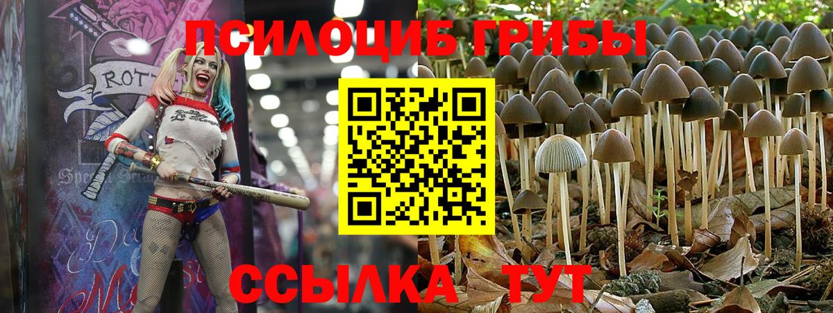 Галлюциногенные грибы Сухой Лог