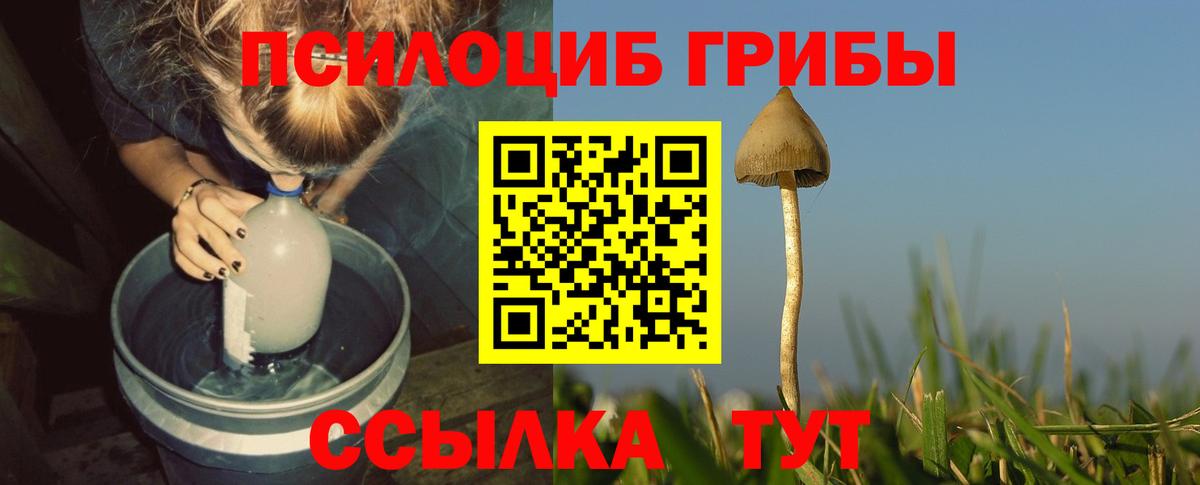 Псилоцибиновые грибы MAGIC MUSHROOMS Сухой Лог